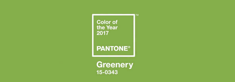 Pantone color, 360 Web Designs, Pantone Color 2017