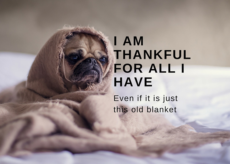 I am Thankful | Annette Frei | 360 Web Designs