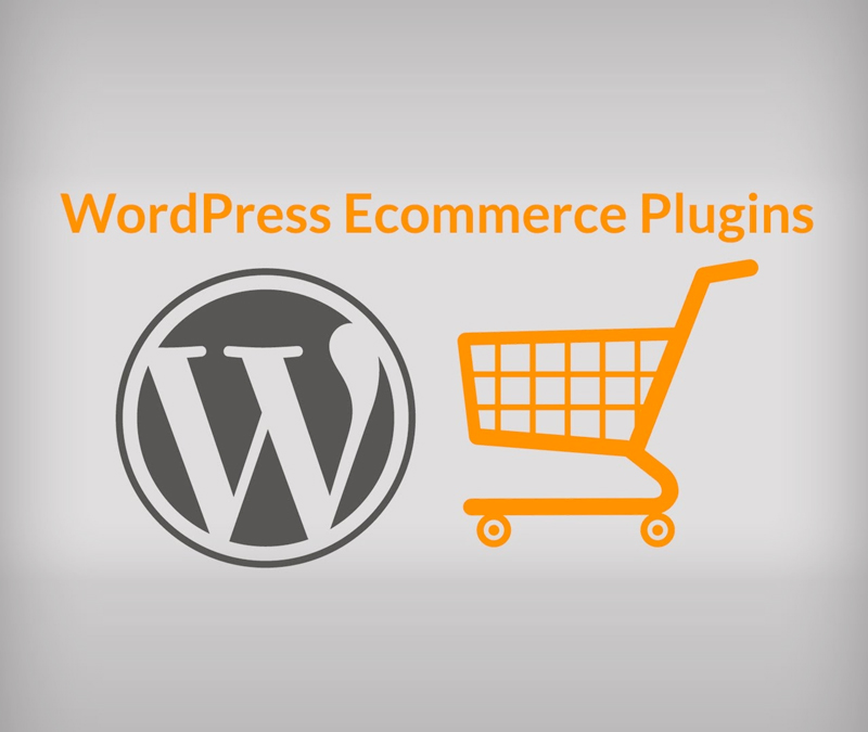eCommerce | WordPress | Plugins | 360 Web Designs