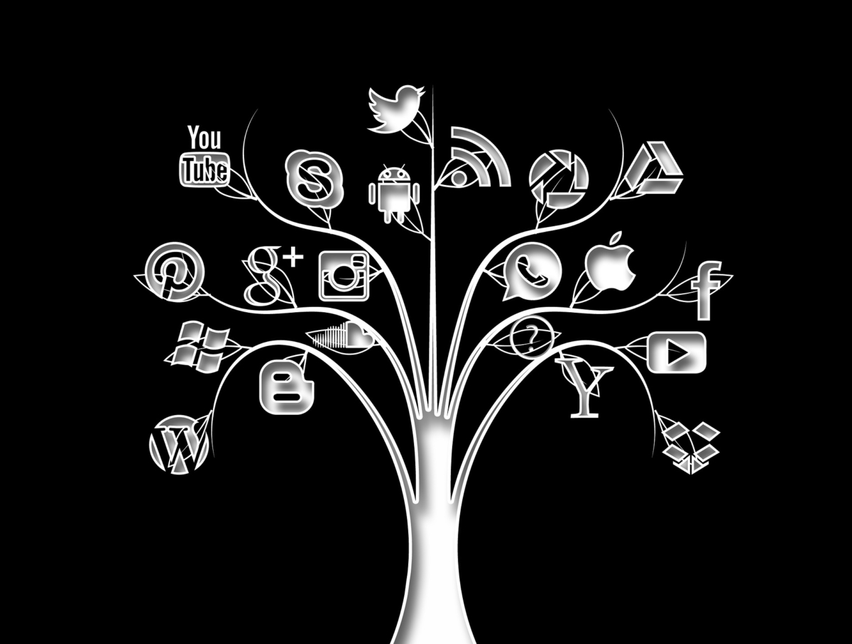 Social Media | Grow your Business | 360 web designs blog