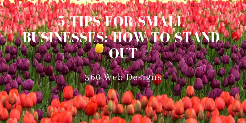 5 Tips For Small Businesses How To Stand Out | 360 Web Designs