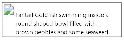 alt text that better describes the image."Fantail Goldfish swimming inside a round shaped bowl..."